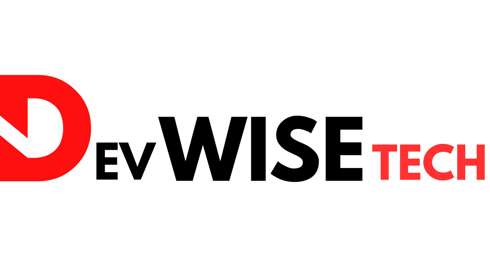 DevWiseTech Logo